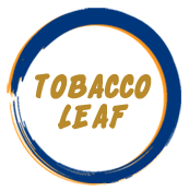 tobacco leaf