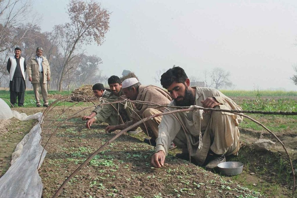 Growers Reject Pakistan’s Official Tobacco Price